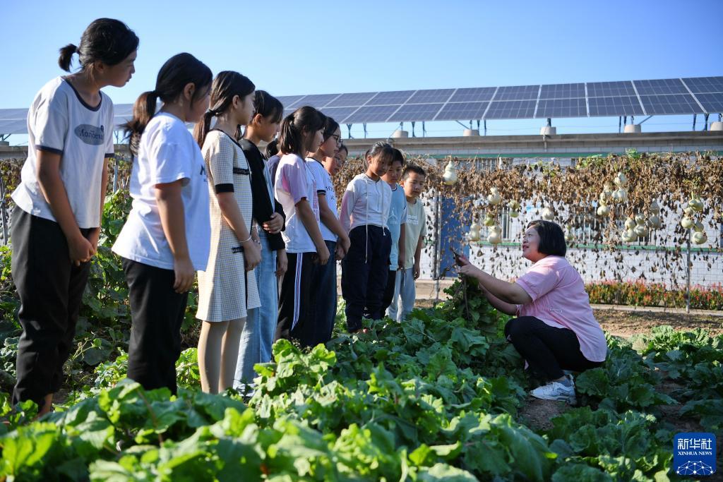 新莆京娱乐场官网地址